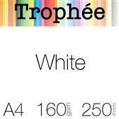 TROPHEE COLOURED PAPER A4 160GSM WHITE PACK 250