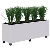 RAPID MOBILE PLANTER INCLUDING TALL PLANTS L1600 X H600 WHITE